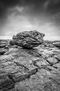 erratic,february,lowlands,monochrome,winter