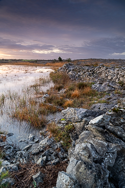 autumn,december,golden,lowland,stone,sunrise,wall