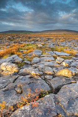 autumn,golden hour,november,sunrise,lowland,golden