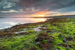 algae,doorus,september,summer,sunrise,coast,green