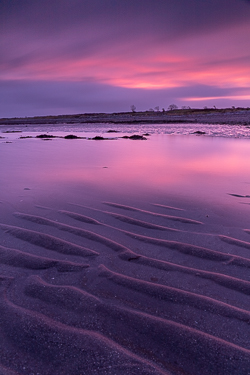 december,doorus,limited,long exposure,pink,sand ripples,twilight,winter,portfolio,coast,beach