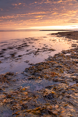 autumn,flaggy shore,long exposure,october,sunrise,coast,golden