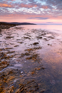 autumn,black head,flaggy shore,long exposure,october,pink,sunrise,coast