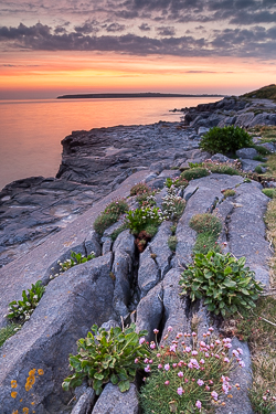april,flaggy shore,flowers,long exposure,orange,spring,twilight,coast,orange