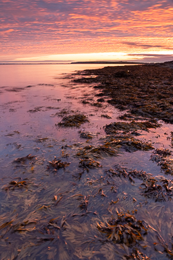 autumn,flaggy shore,long exposure,october,red,sunrise,coast