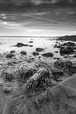 monochrome,coast,june,kinvara,long exposure,pink,spring,traught,twilight