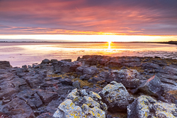 august,pink,summer,sunrise,traught,coast